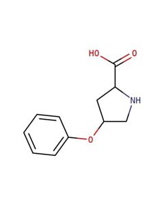 Astatech 4-PHENOXYPYRROLIDINE-2-CARBOXYLIC ACID; 0.25G; Purity 95%; MDL-MFCD24654900